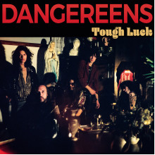 DANGEREENS - Tough Luck LP