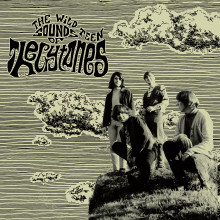 CRYTONES, THE - The Wild Teen Sounds of... LP