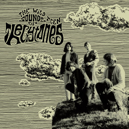 CRYTONES, THE - The Wild Teen Sounds of... LP