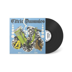CITRIC DUMMIES - Split with Turnstile LP