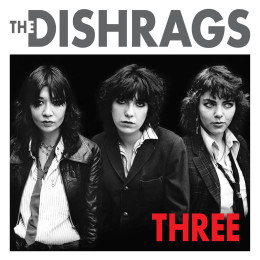 DISHRAGS, THE - Three LP