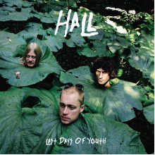 HALL - Last Days of Youth LP