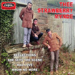 STRAWBERRY MYNDE, THEE - Reflections 7"