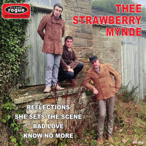 STRAWBERRY MYNDE, THEE - Reflections 7"