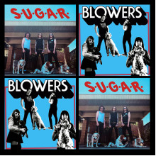 SUGAR / BLOWERS - split 10"