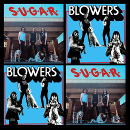 SUGAR / BLOWERS - split 10"