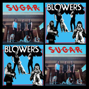 SUGAR / BLOWERS - split 10"